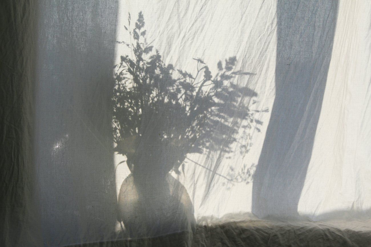 Soft daylight through a linen curtain beside a vase of branches