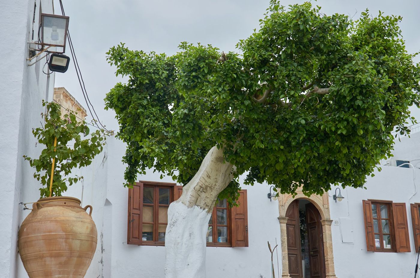A whitewashed courtyard with terracotta pots