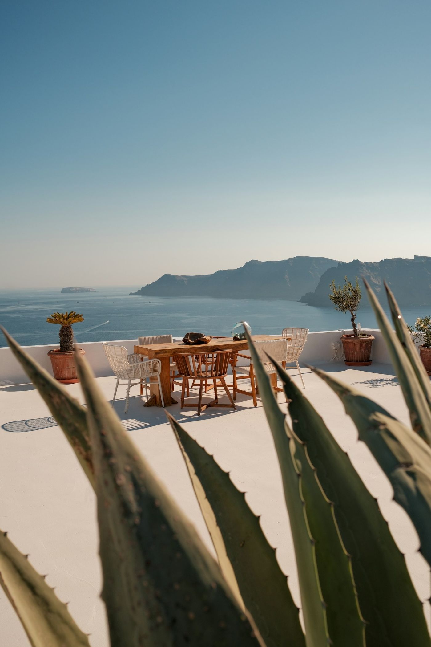 Agaves on a terrace overlooking the sea