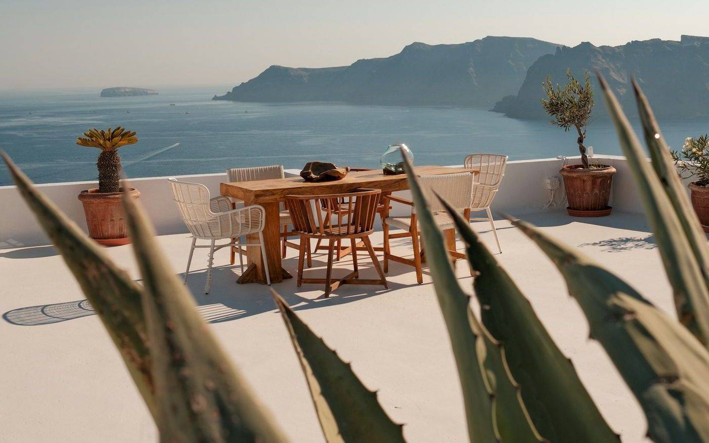 A sunlit terrace table above the sea, behind an agave