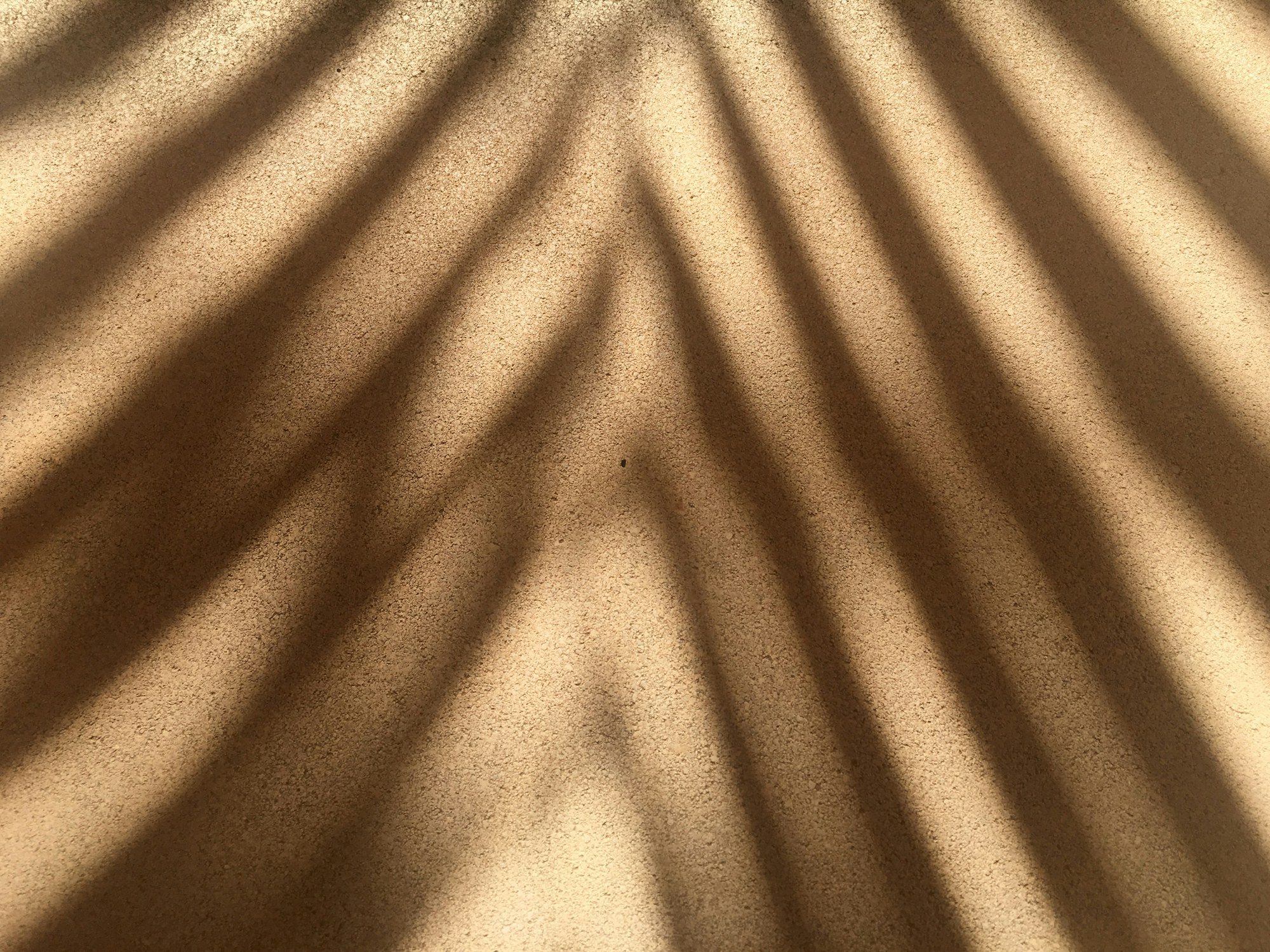 The shadow of a palm frond on a warm wall